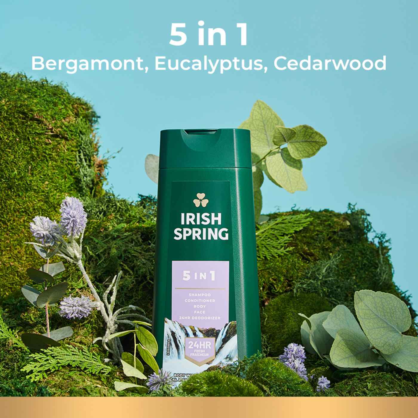 5 in 1 Body Wash Irish Spring, 20oz